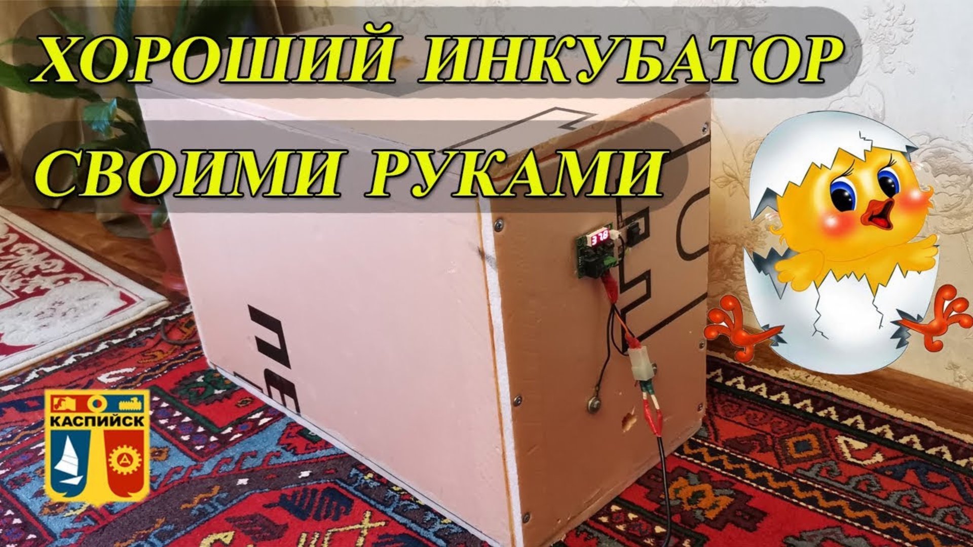 Хороший инкубатор своими руками. Инкубатор. Домашний инкубатор для вывода кур. куриный инкубатор смотреть онлайн
