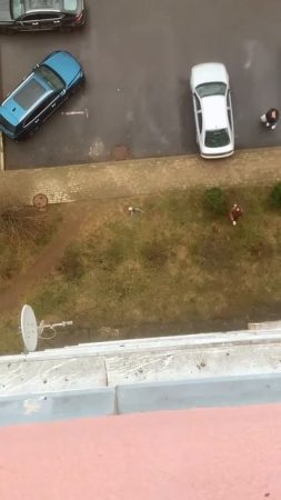 Смешавки.
