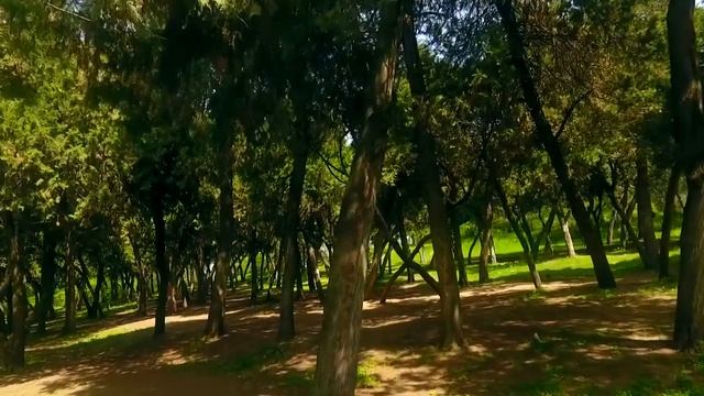 Санаторий "Жалал-Абад" Санаториясы (Жалал-Абад курорт) смотреть онлайн