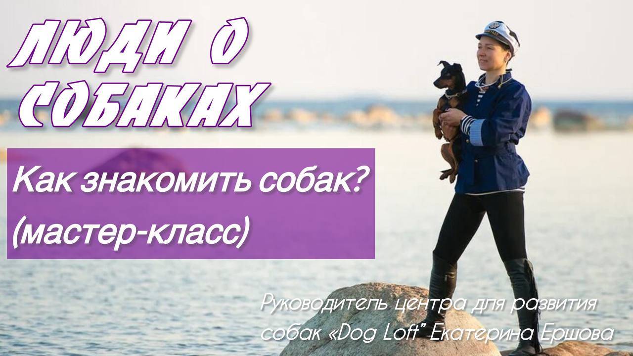 Собака не слушается на улице? С этим точно можно работать | Мастер-класс по общению собак и людей