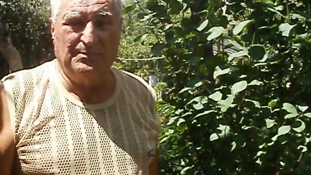 Посади дерево!!! Миру хорошо!!