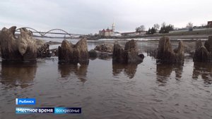 В Рыбинске из-за низкого уровня воды в реке показалось старое затопленное судно