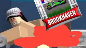 Следим за играками в брукхевен! Что они творят?Я щас блевану