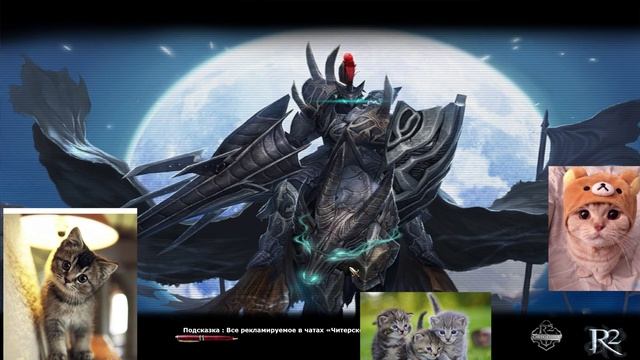 Испугались