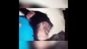 ЕРЖАН, ВСТАВАЙ!