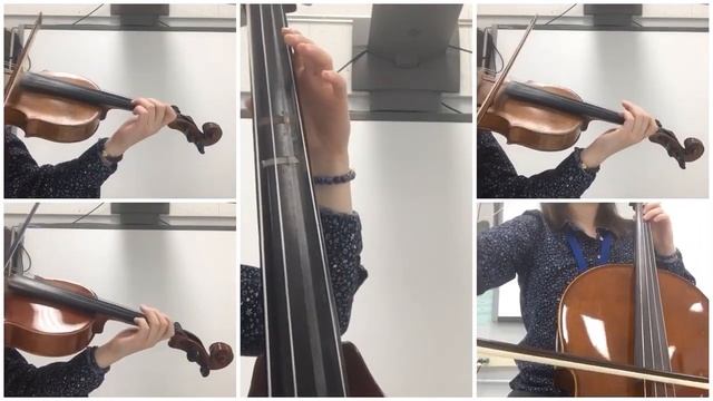 Salsa Fest! смотреть онлайн