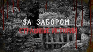 СТРАШНЫЕ ИСТОРИИ НА НОЧЬ | За забором | СТРАШИЛКИ НА НОЧЬ