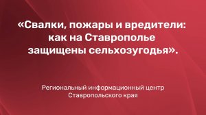 Свалки, пожары и вредители: как на Ставрополье защищены сельхозугодья