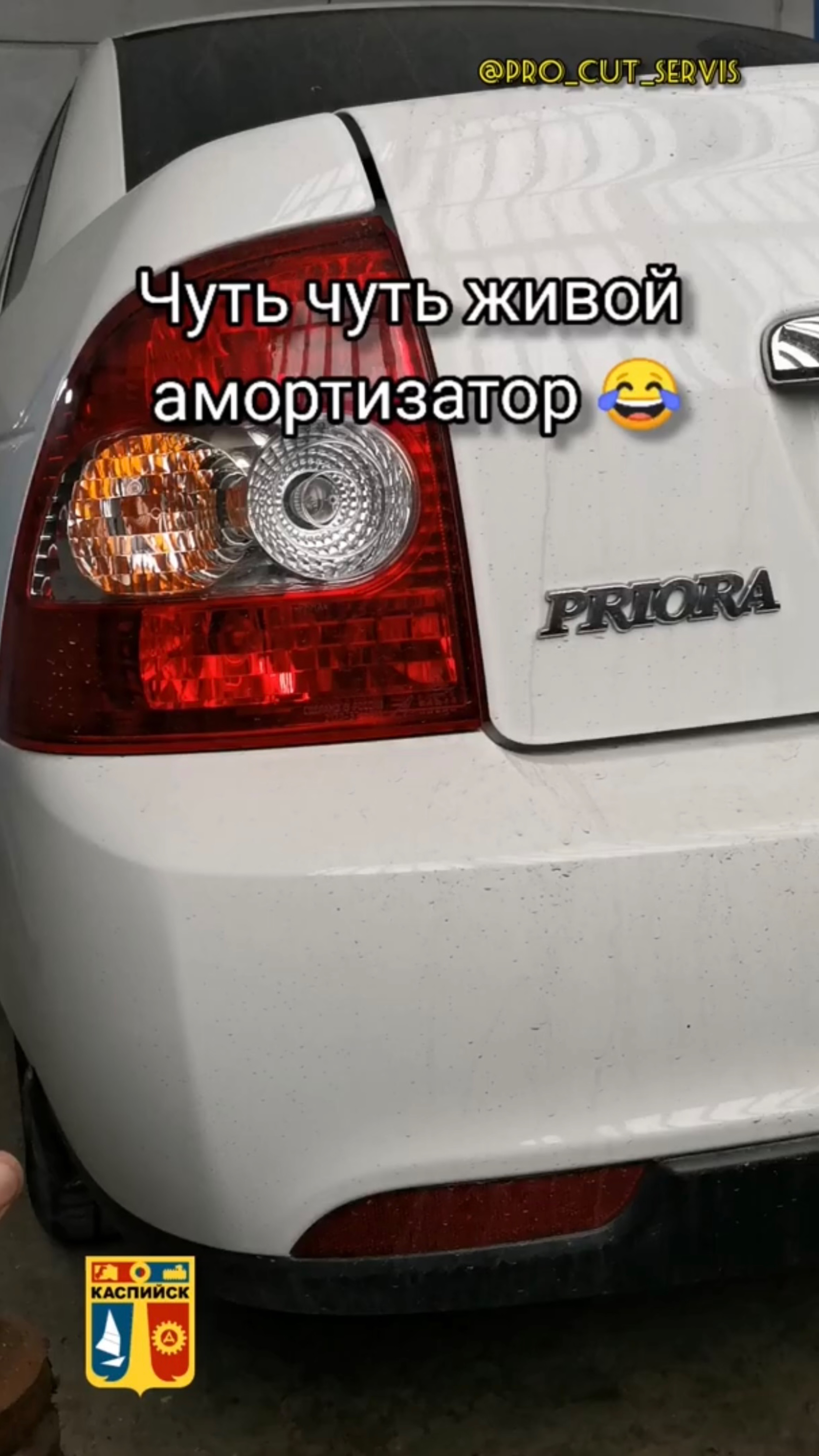 Чуть чуть живой амортизатор смотреть онлайн