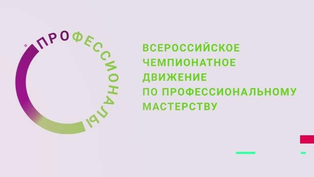 Чемпионат профессионалы 2025
