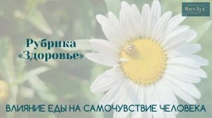 Влияние еды на самочувствие человека | Здоровье | Татьяна Бекаревич