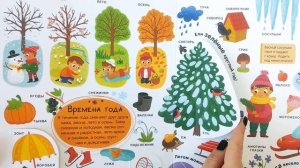 Мой первый словарь. Мир вокруг.