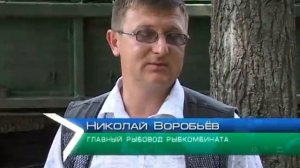 В Краснооскольское водохранилище выпустили мальков