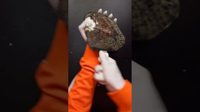 Добыча жемчуга