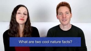 90 minutes English conversation