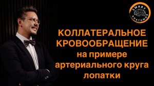 КОЛЛАТЕРАЛЬНОЕ КРОВООБРАЩЕНИЕ на примере артериального круга лопатки.