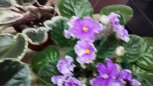 Выставка 15-16 Марта