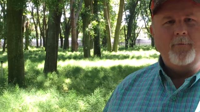 Fern Money смотреть онлайн