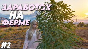 МОЙ ЗАРАБОТОК на ФЕРМЕ! ПУТЬ ДЕВУШКИ НОВИЧКА #2 на MAJESTIC RP \ GTA 5 RP