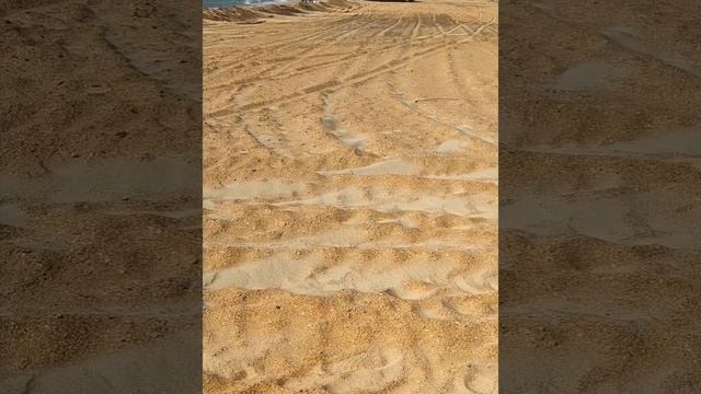Море и пляж в Витязево.