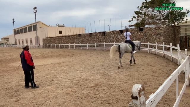 Лошади, они и в Африке лошади ) смотреть онлайн