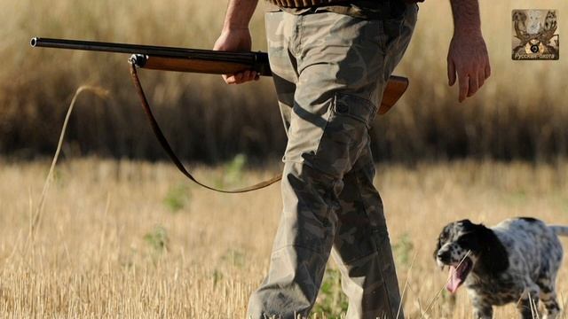 вопросы и ответы смотреть онлайн