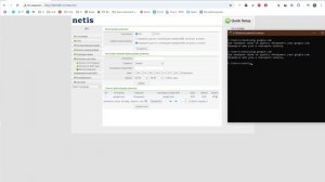 Netis W1 - косяк с фильтром доменов