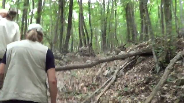 Устроение древних дорог Славяно-Ариев с хранителем горы Бойка Глобальная Волна - The Global Wave