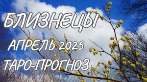 Близнецы ♊ Таро-прогноз на апрель 2025 года