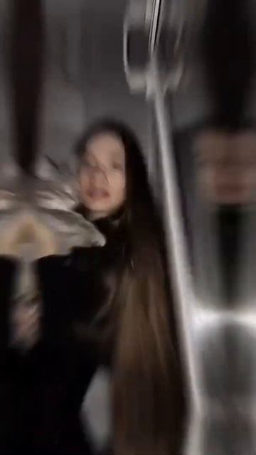 ФОТОСЕССИЯ С ШОТЛАНДСКИМ КОТОМ | ПОРОДИСТЫЙ КОТ | ПРЯМОУХИЙ ШОТЛАНДЕЦ смотреть онлайн