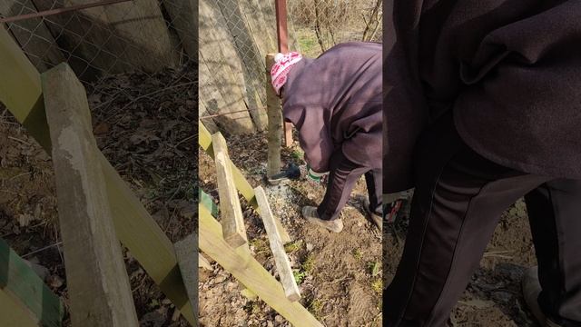 март 2025 Впервые пользуюсь пилой