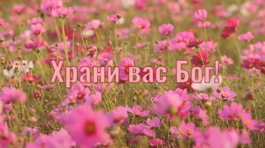 Храни вас Бог! Открытка. Стихи для души.