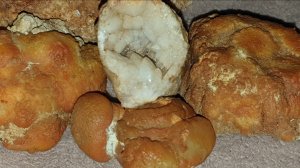 Сокровища Русавкино-Романово и Нью-Русавкино сентябрь 2024 Самоцветы, окаменелости и хорошая погода