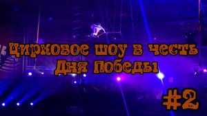 Цирковое шоу в честь Дня Победы #2