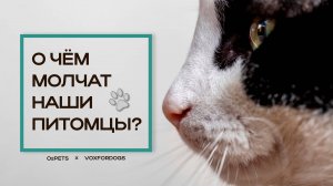 О чем молчат наши питомцы?