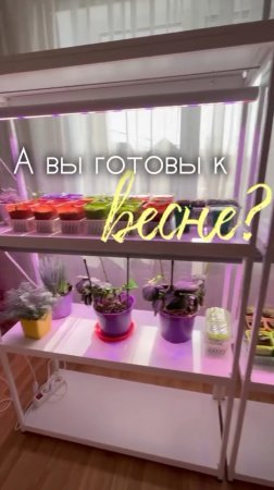 Вот и начался рассадный сезон. Куда разместить всю рассаду? Что делать, если ставить уже некуда?