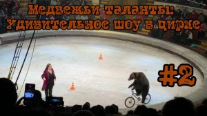 Медвежьи таланты Удивительное шоу в цирке #2 🌟🐻