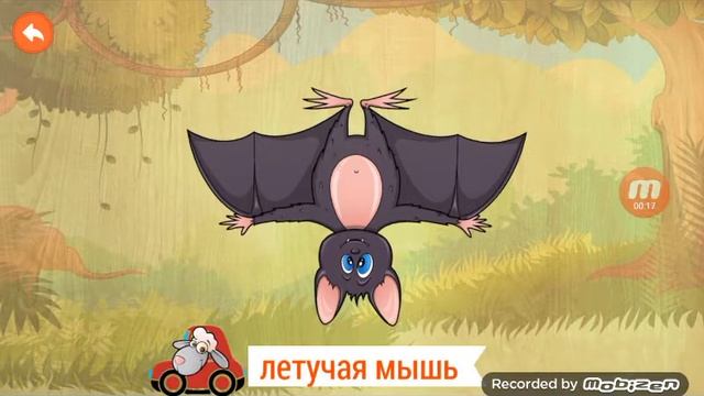 Джунглие животные. Летучая мышь! смотреть онлайн