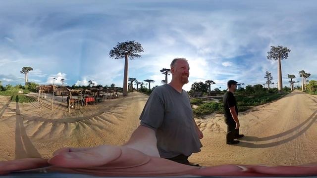 360 View of Baobab Alley of Madagascar смотреть онлайн