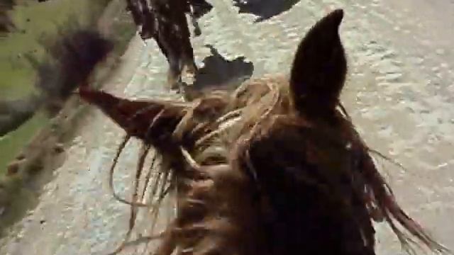 Horseback Riding Cusco – Horseback Riding Cusco Peru – Maras Moray, Huaypo Lake Whats App 984 85776 смотреть онлайн