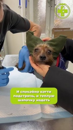 Этот мир ему абсолютно понятен)