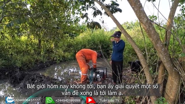 Gặp sự cố với máy bơm nước - Tạm hoãn công việc đóng gạch || Tuấn Hiệp TV смотреть онлайн