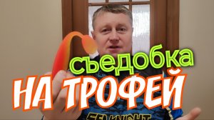 Съедобный Силикон на Щуку. ProperBaits VibroTail