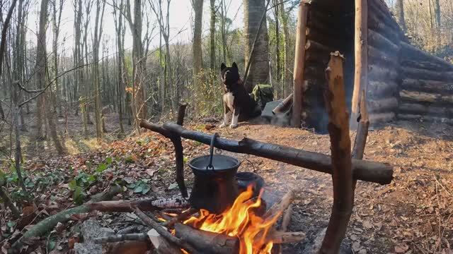 ХАКАН  SURVIVAL in the WILD. Wood Shelter CAMPING. Cooking