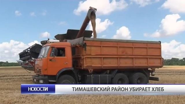 Тимашевский район убирает хлеб