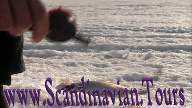 Привет из Швеции