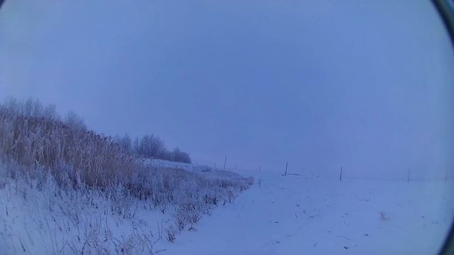 Охота на зайца.  Подранков надо добирать. смотреть онлайн