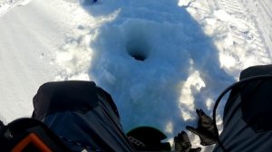 Быстрая рыбалка в толпе