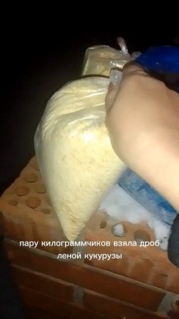 привезли корм для перепелов