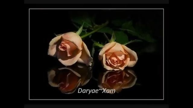 7assan hayas grftar смотреть онлайн